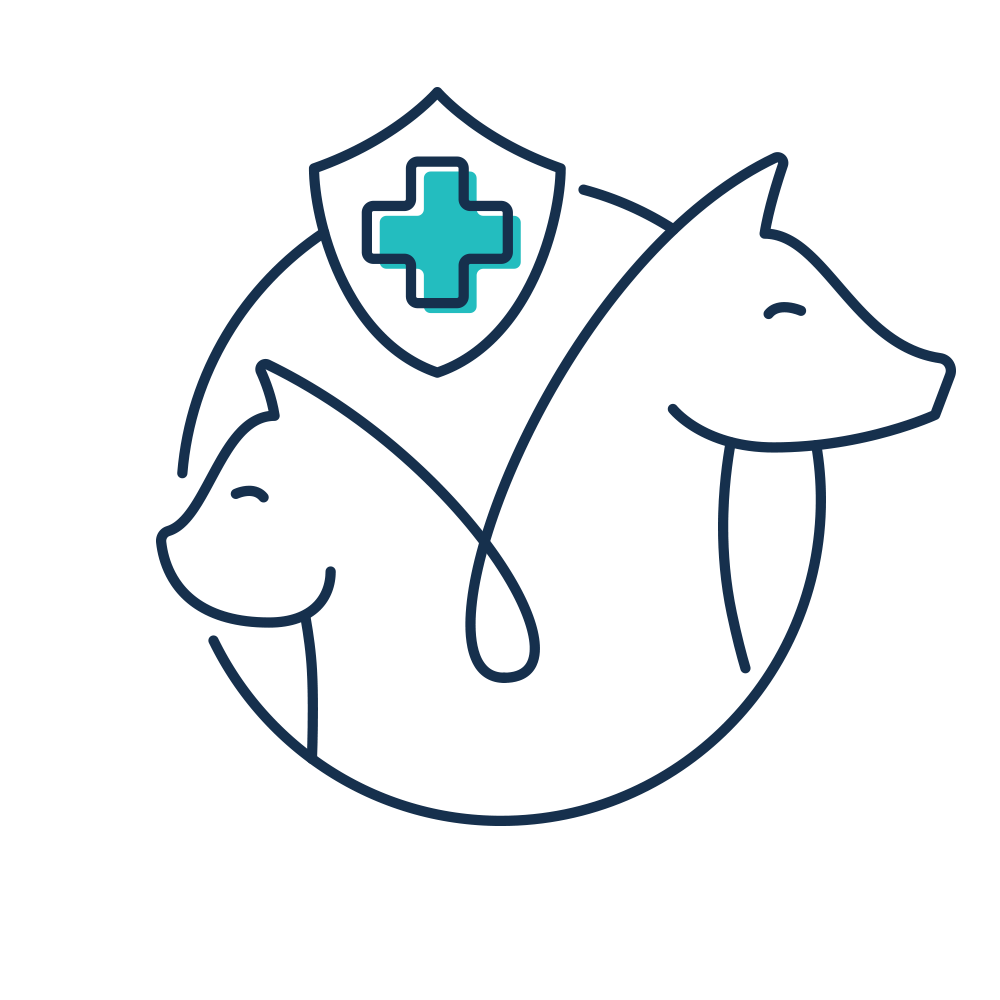 Amazon.com: Veterinarian Symbol Medicine. T-shirt. Gift Veterinary Doct :  Clothing, Shoes & Jewelry